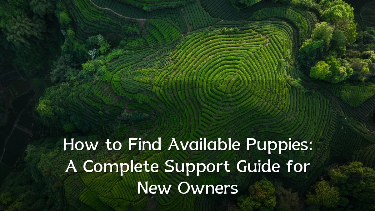 How to Find Available Puppies: A Complete Support Guide for New Owners