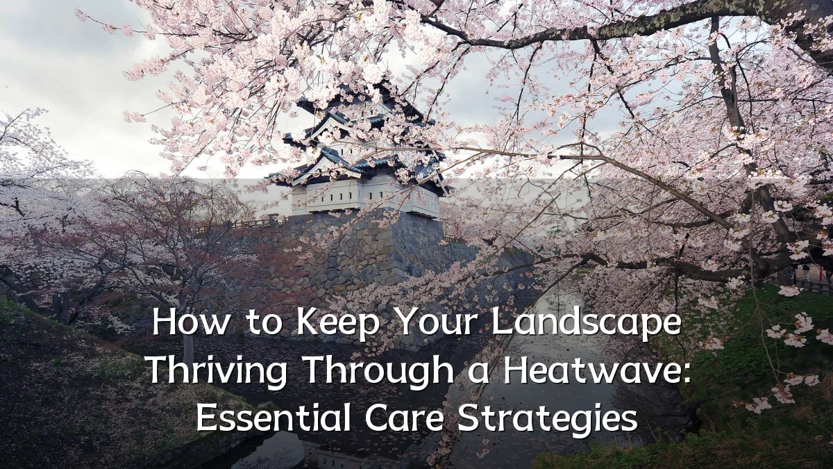 How to Keep Your Landscape Thriving Through a Heatwave: Essential Care Strategies