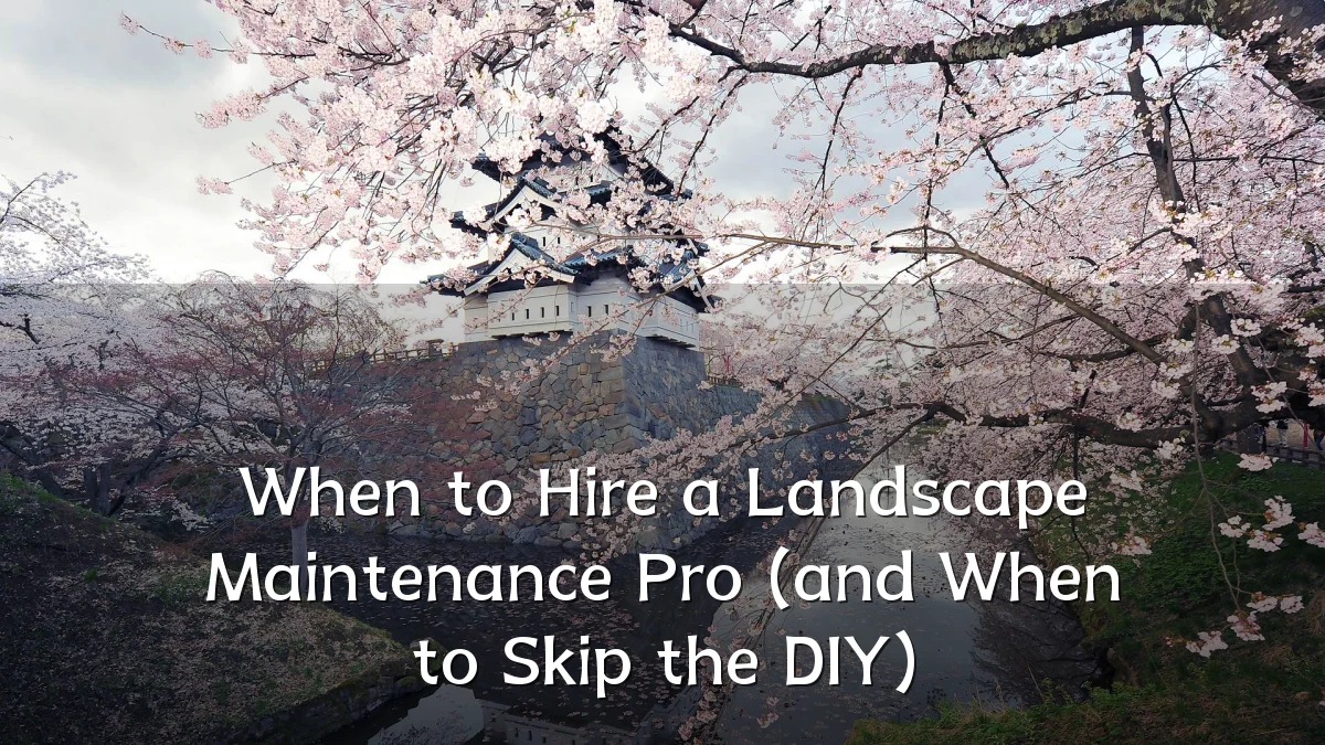 When to Hire a Landscape Maintenance Pro (and When to Skip the DIY)