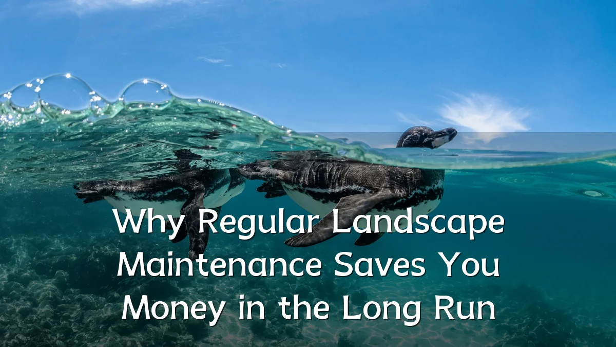 Why Regular Landscape Maintenance Saves You Money in the Long Run
